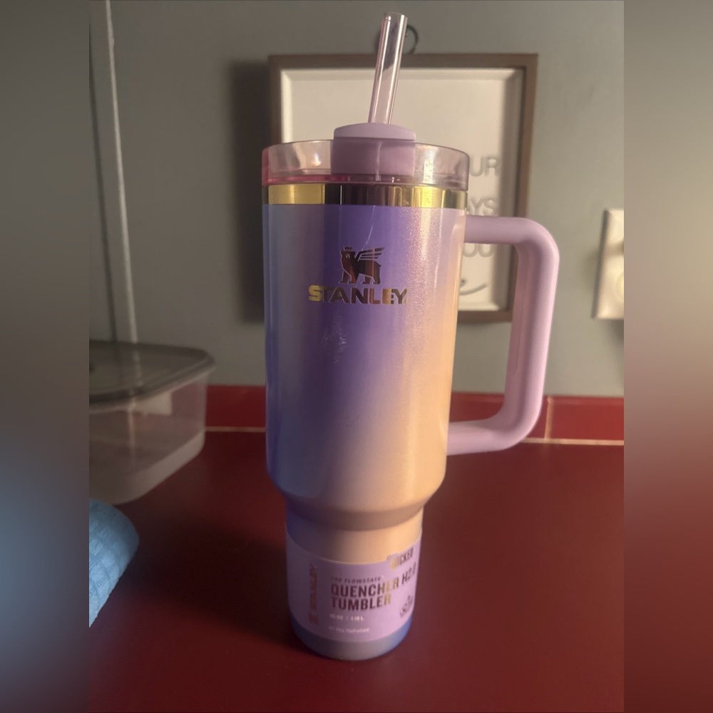 Stanley NEW h2o 40oz WICKED tumbler